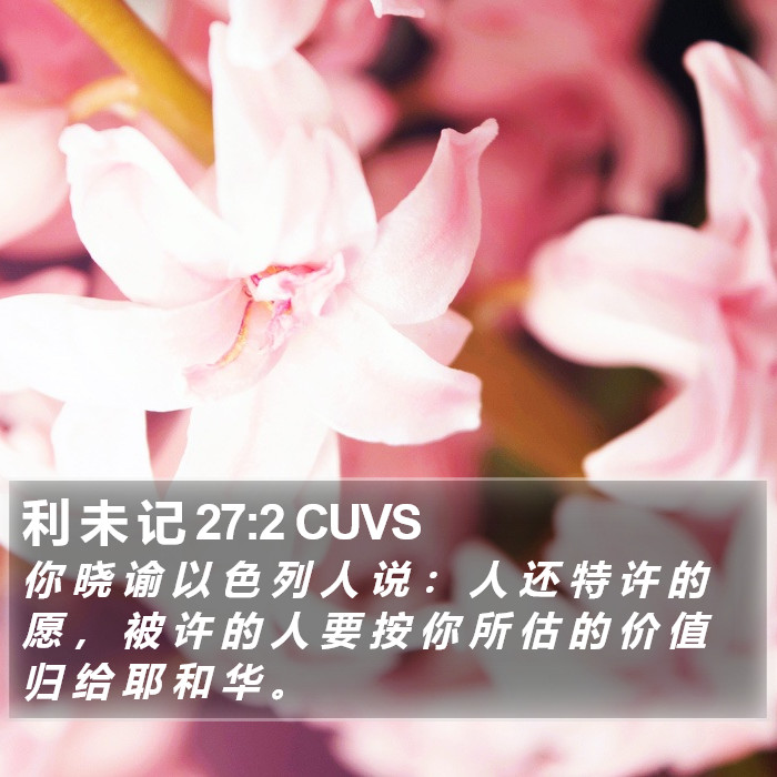 利 未 记 27:2 CUVS Bible Study