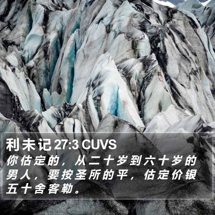 利 未 记 27:3 CUVS Bible Study