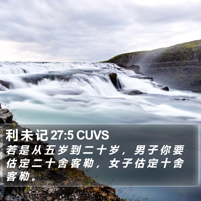 利 未 记 27:5 CUVS Bible Study