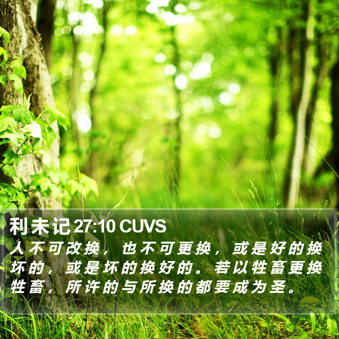利 未 记 27:10 CUVS Bible Study