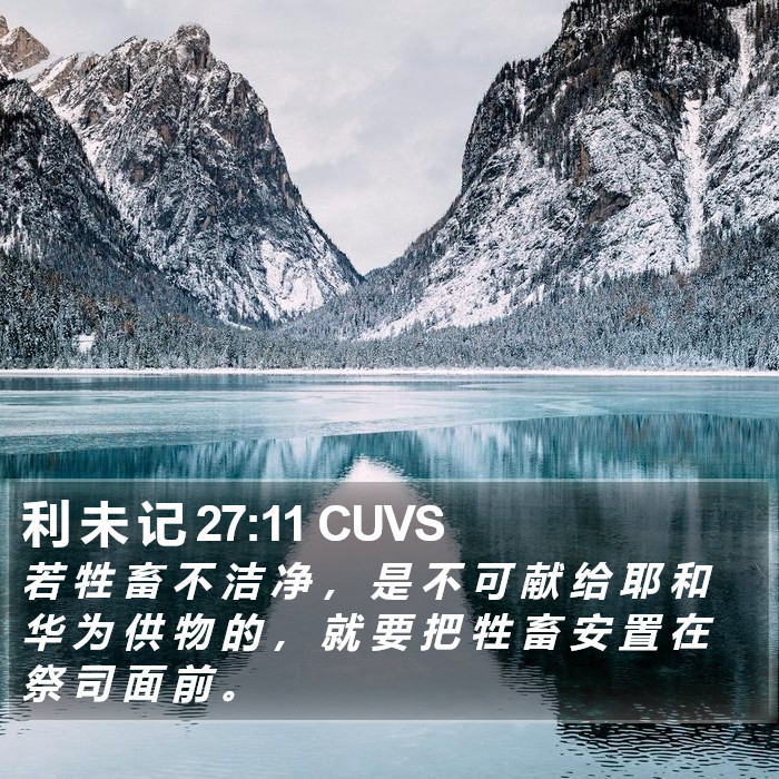 利 未 记 27:11 CUVS Bible Study