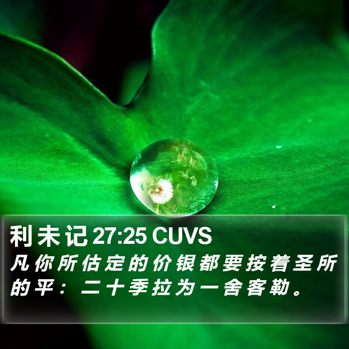 利 未 记 27:25 CUVS Bible Study