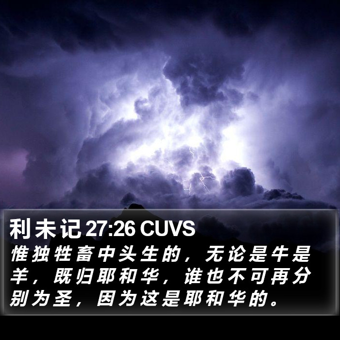 利 未 记 27:26 CUVS Bible Study