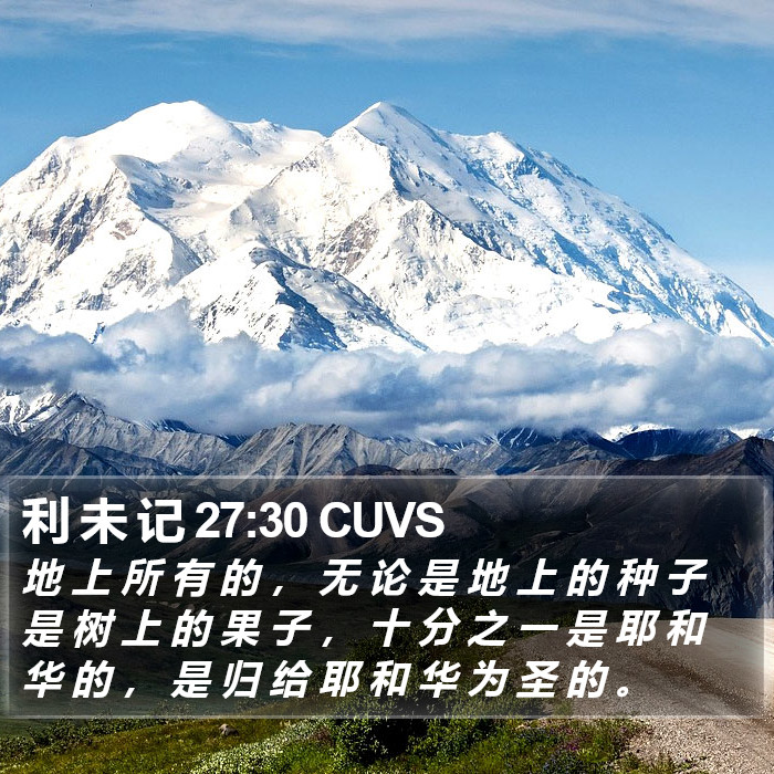 利 未 记 27:30 CUVS Bible Study