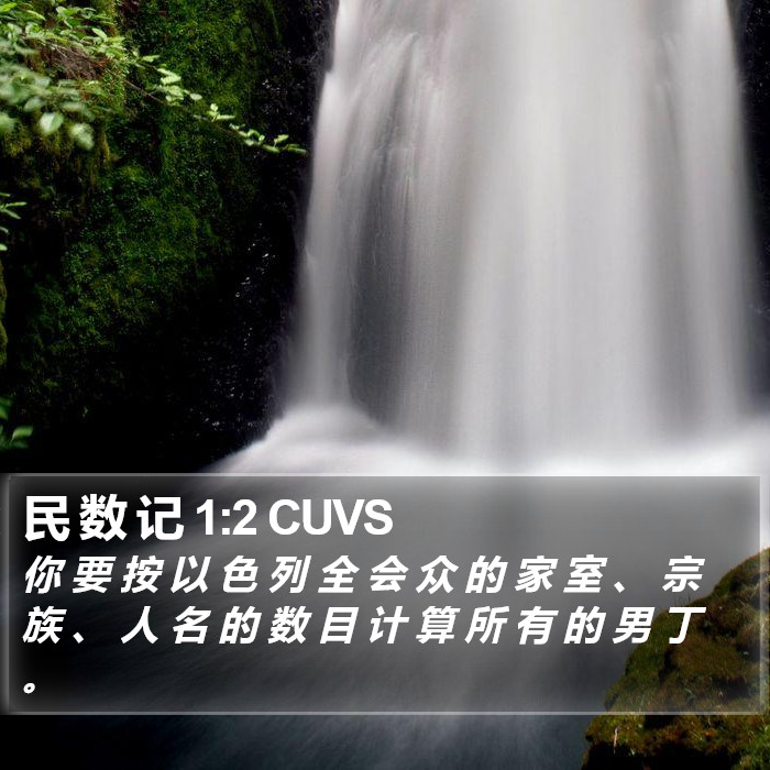 民 数 记 1:2 CUVS Bible Study