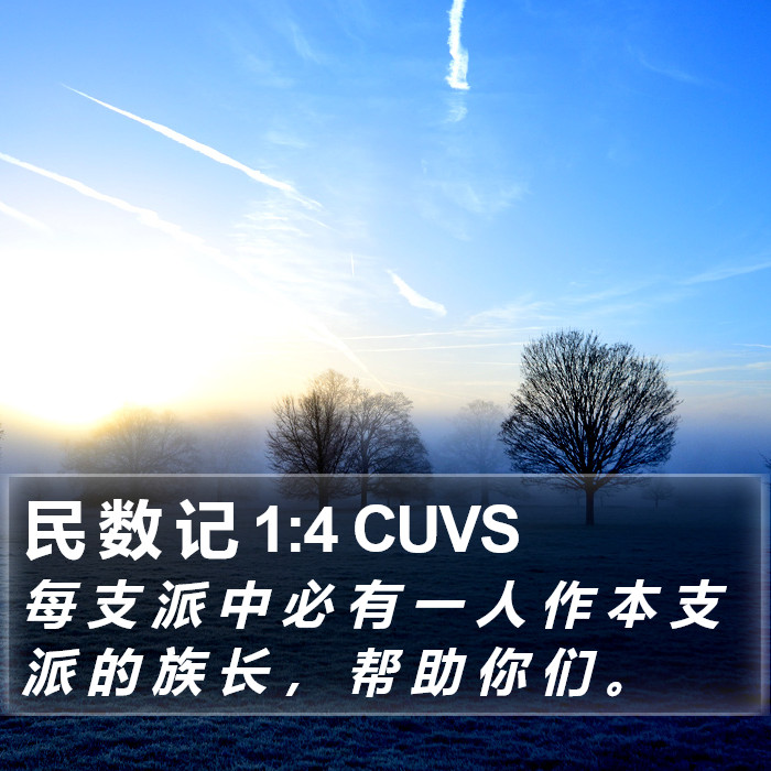 民 数 记 1:4 CUVS Bible Study