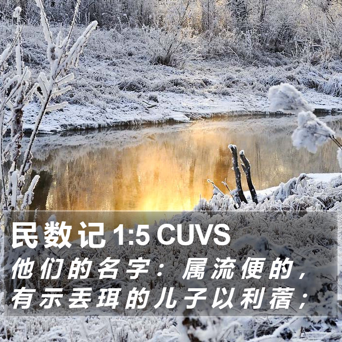 民 数 记 1:5 CUVS Bible Study