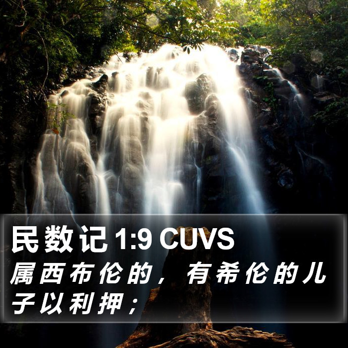 民 数 记 1:9 CUVS Bible Study