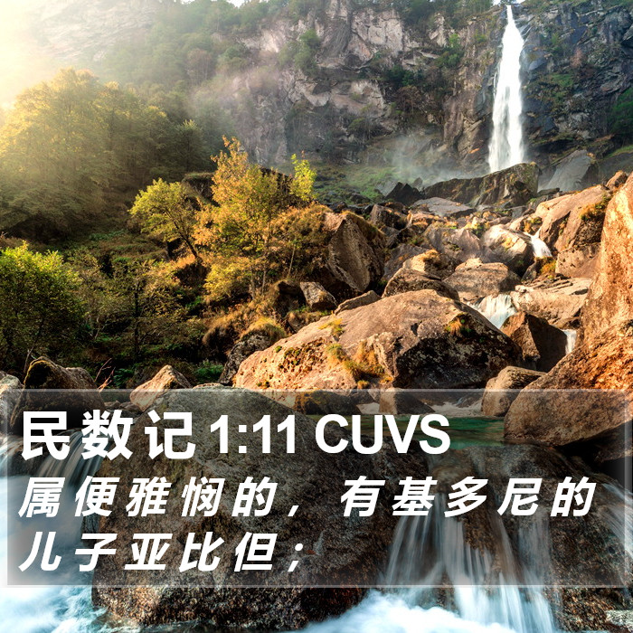 民 数 记 1:11 CUVS Bible Study