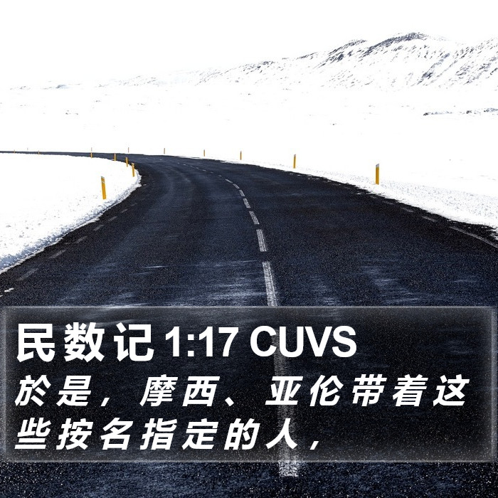 民 数 记 1:17 CUVS Bible Study