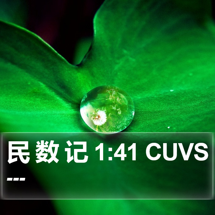 民 数 记 1:41 CUVS Bible Study