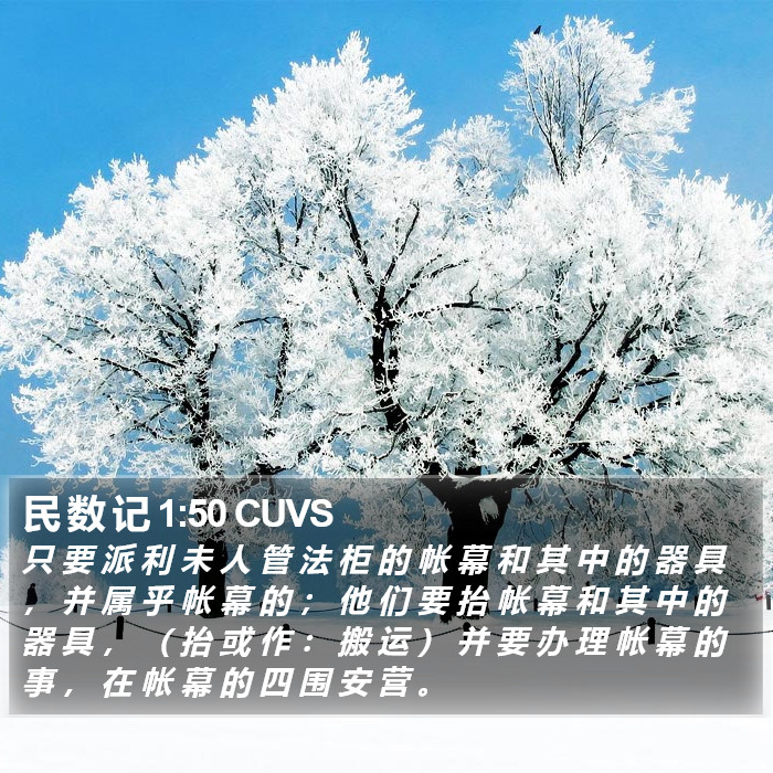 民 数 记 1:50 CUVS Bible Study