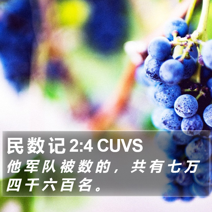 民 数 记 2:4 CUVS Bible Study