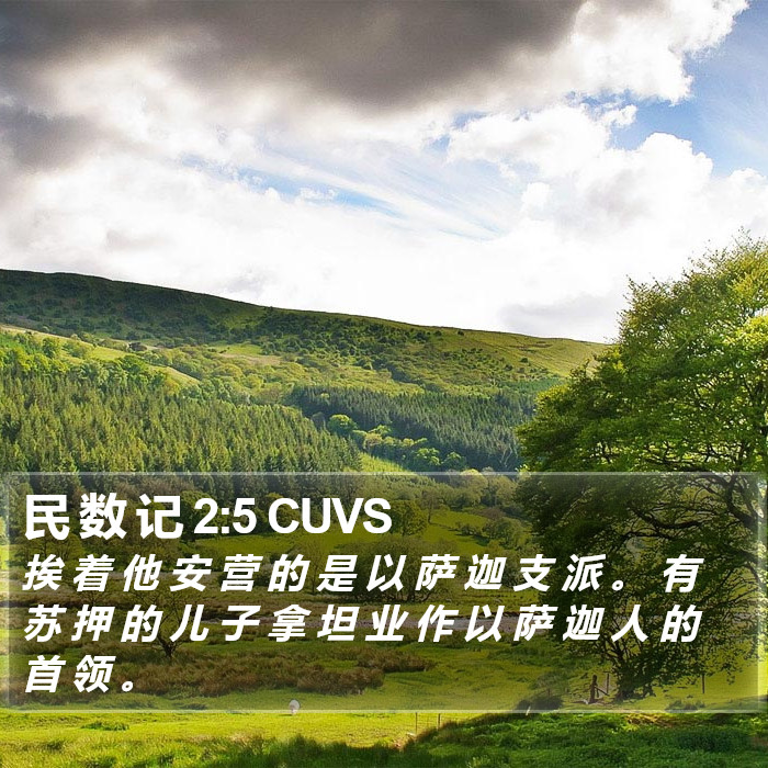 民 数 记 2:5 CUVS Bible Study