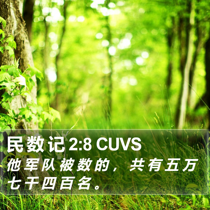 民 数 记 2:8 CUVS Bible Study