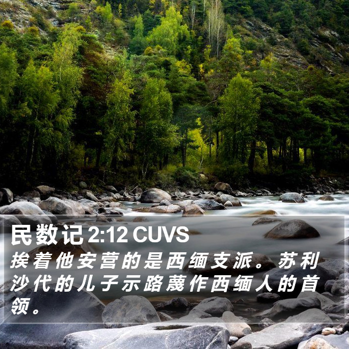民 数 记 2:12 CUVS Bible Study