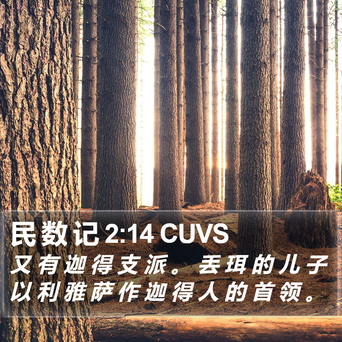 民 数 记 2:14 CUVS Bible Study
