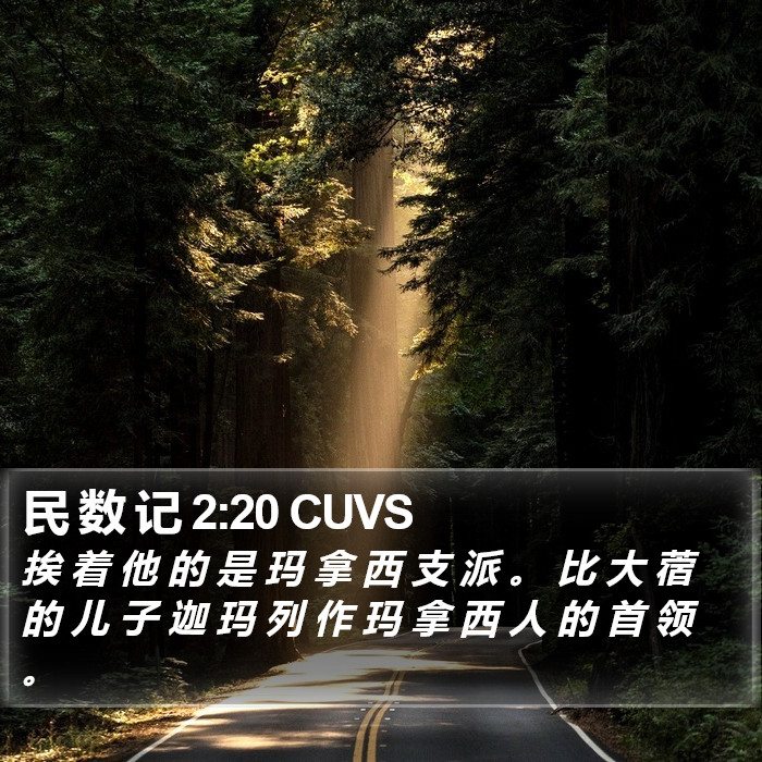 民 数 记 2:20 CUVS Bible Study