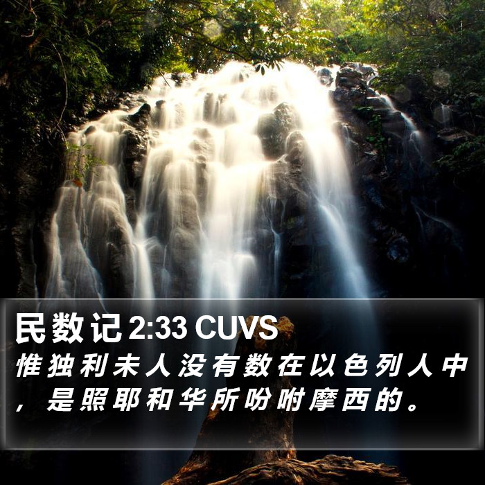 民 数 记 2:33 CUVS Bible Study