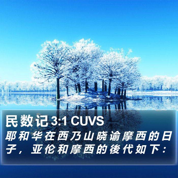 民 数 记 3:1 CUVS Bible Study