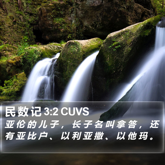 民 数 记 3:2 CUVS Bible Study