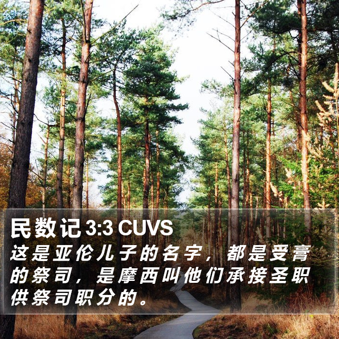 民 数 记 3:3 CUVS Bible Study
