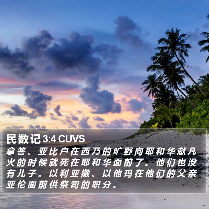 民 数 记 3:4 CUVS Bible Study