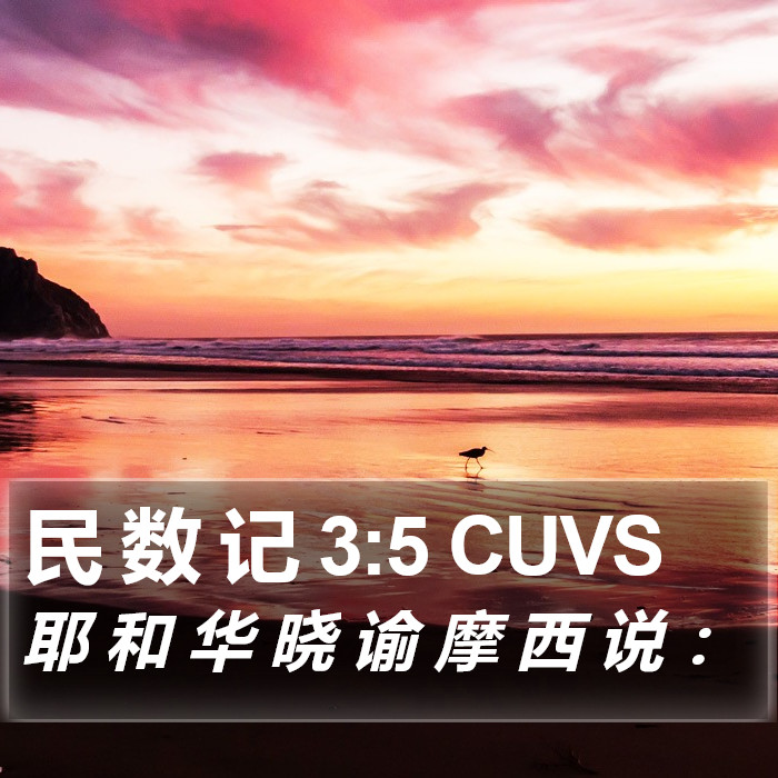 民 数 记 3:5 CUVS Bible Study