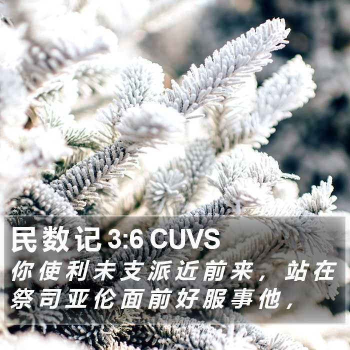 民 数 记 3:6 CUVS Bible Study