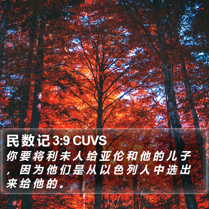 民 数 记 3:9 CUVS Bible Study