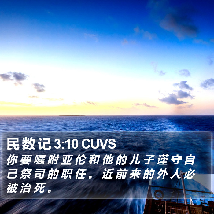 民 数 记 3:10 CUVS Bible Study