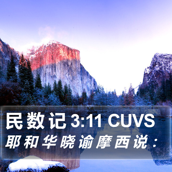 民 数 记 3:11 CUVS Bible Study