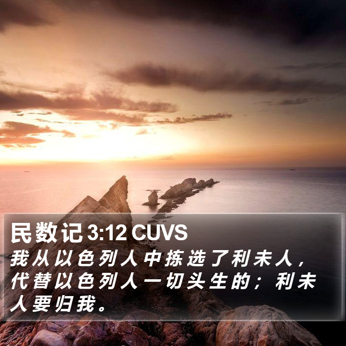 民 数 记 3:12 CUVS Bible Study