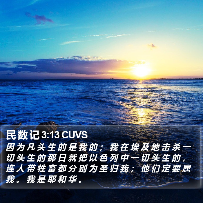 民 数 记 3:13 CUVS Bible Study