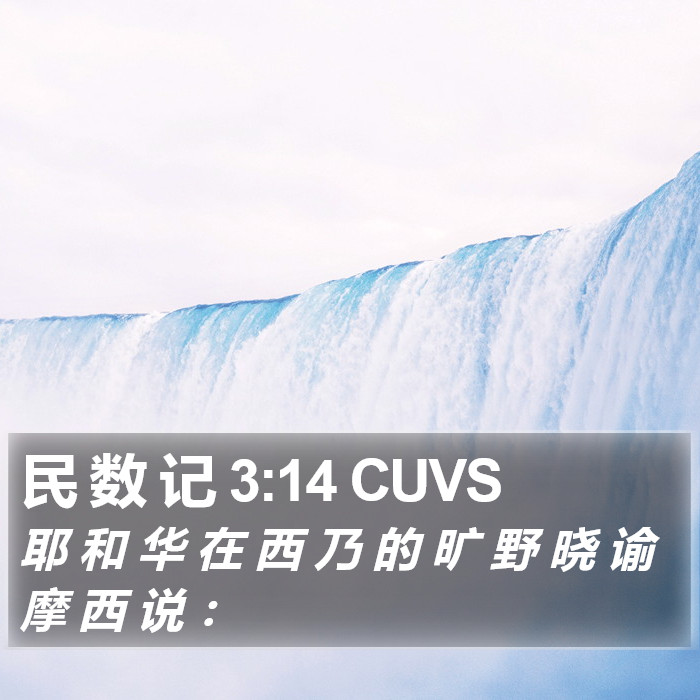 民 数 记 3:14 CUVS Bible Study