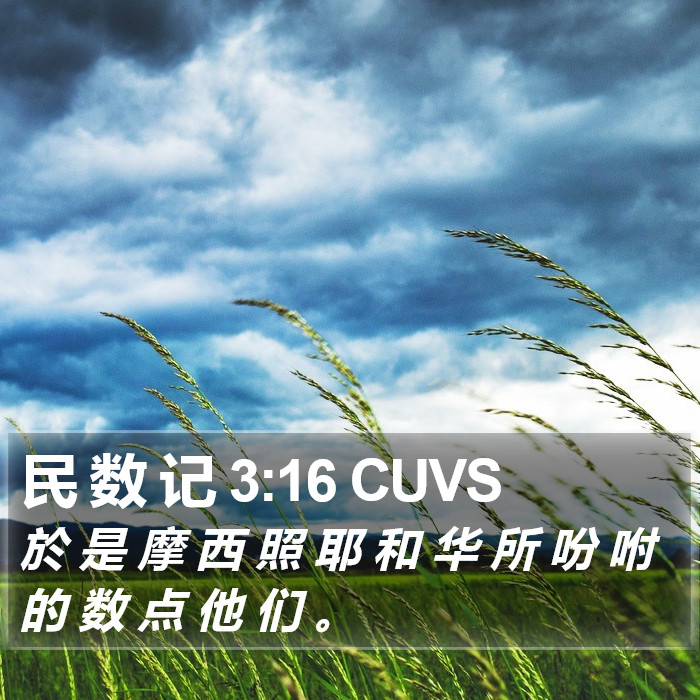 民 数 记 3:16 CUVS Bible Study