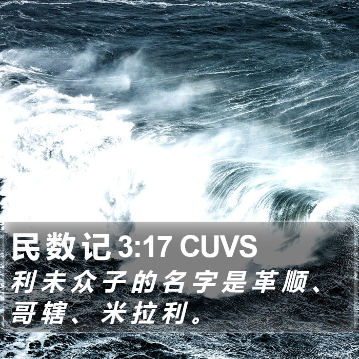 民 数 记 3:17 CUVS Bible Study