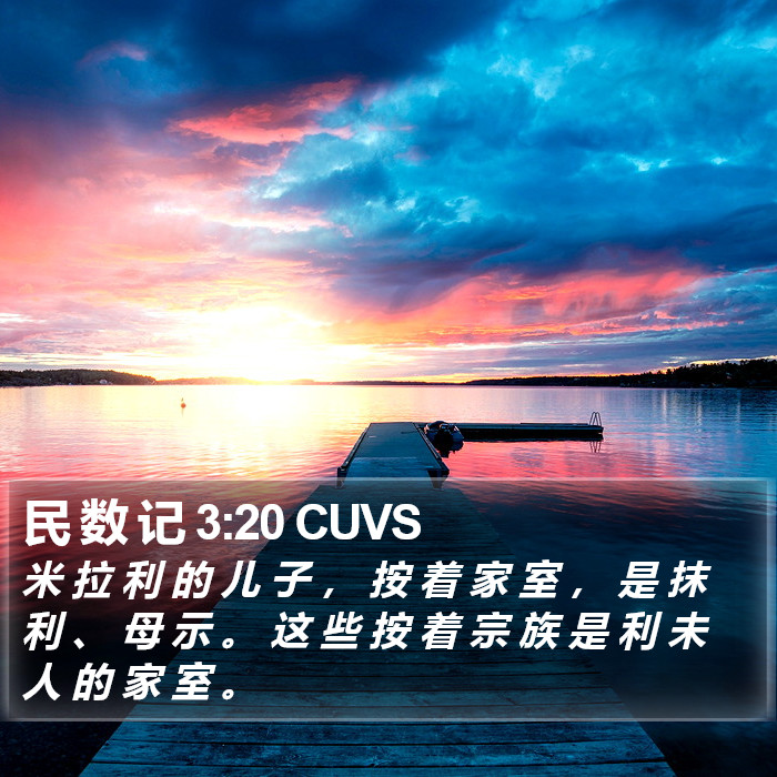 民 数 记 3:20 CUVS Bible Study