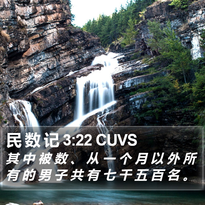 民 数 记 3:22 CUVS Bible Study