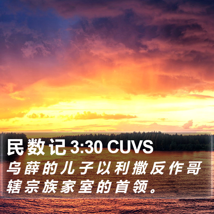 民 数 记 3:30 CUVS Bible Study