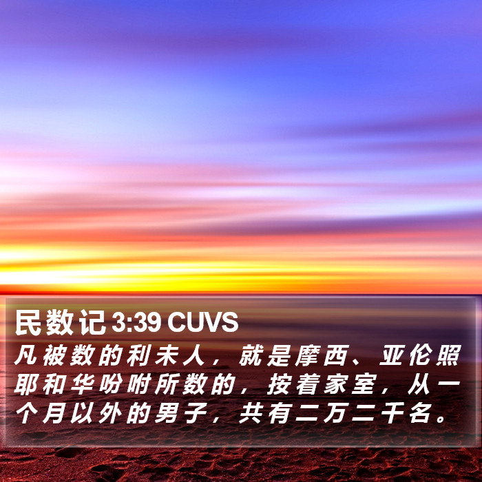 民 数 记 3:39 CUVS Bible Study
