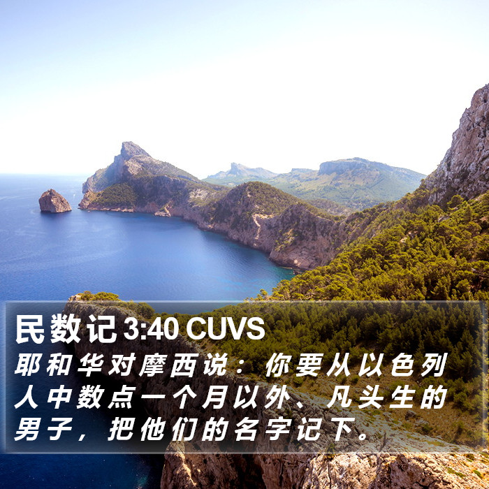 民 数 记 3:40 CUVS Bible Study