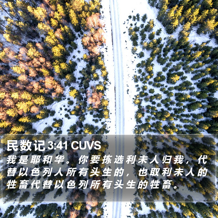 民 数 记 3:41 CUVS Bible Study