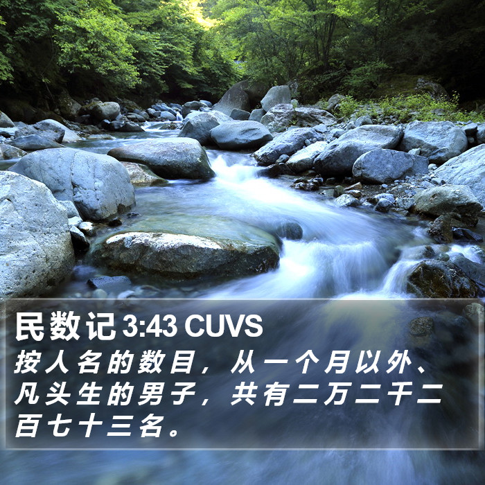 民 数 记 3:43 CUVS Bible Study
