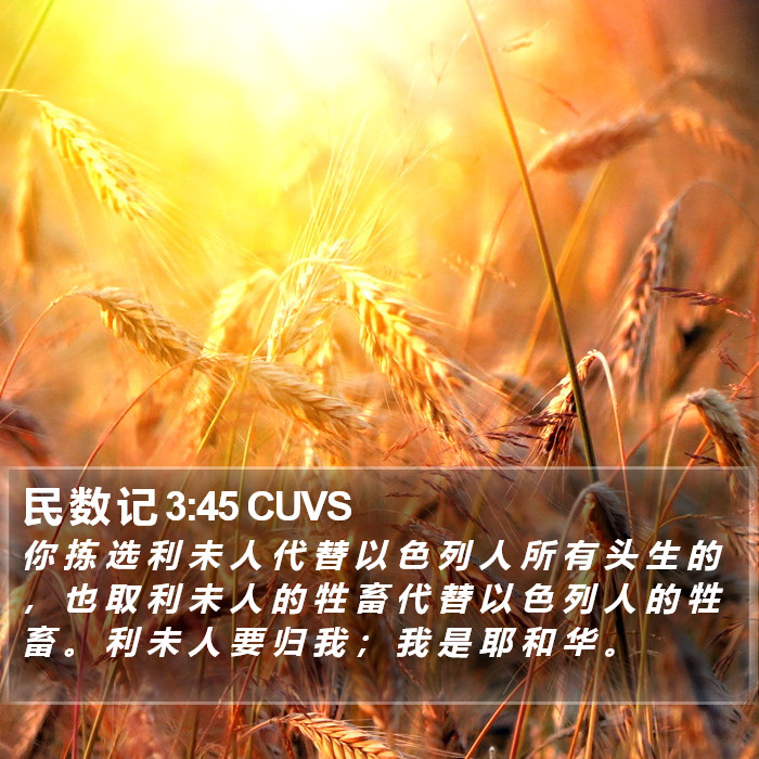 民 数 记 3:45 CUVS Bible Study