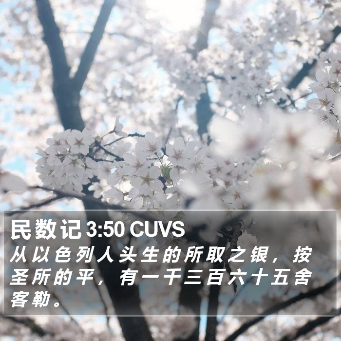 民 数 记 3:50 CUVS Bible Study