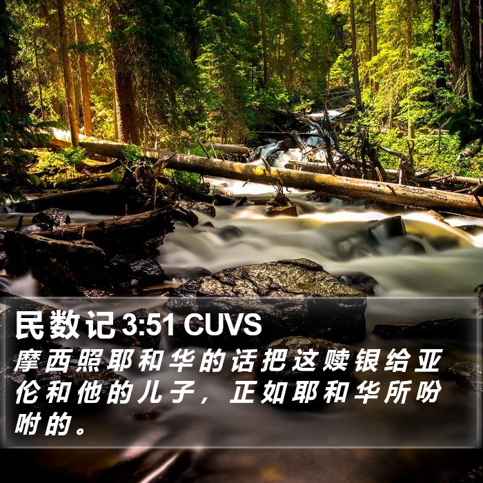 民 数 记 3:51 CUVS Bible Study