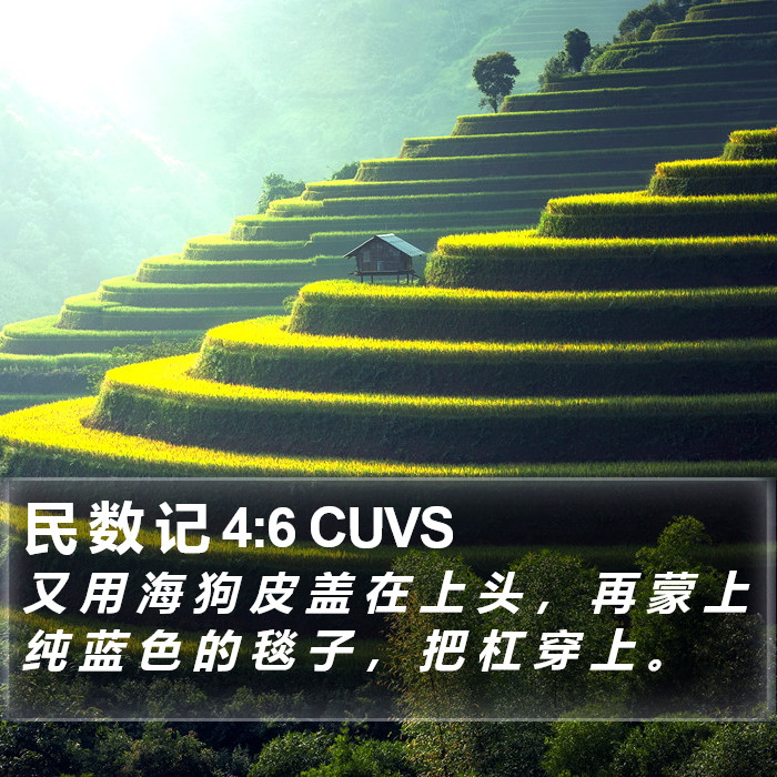 民 数 记 4:6 CUVS Bible Study