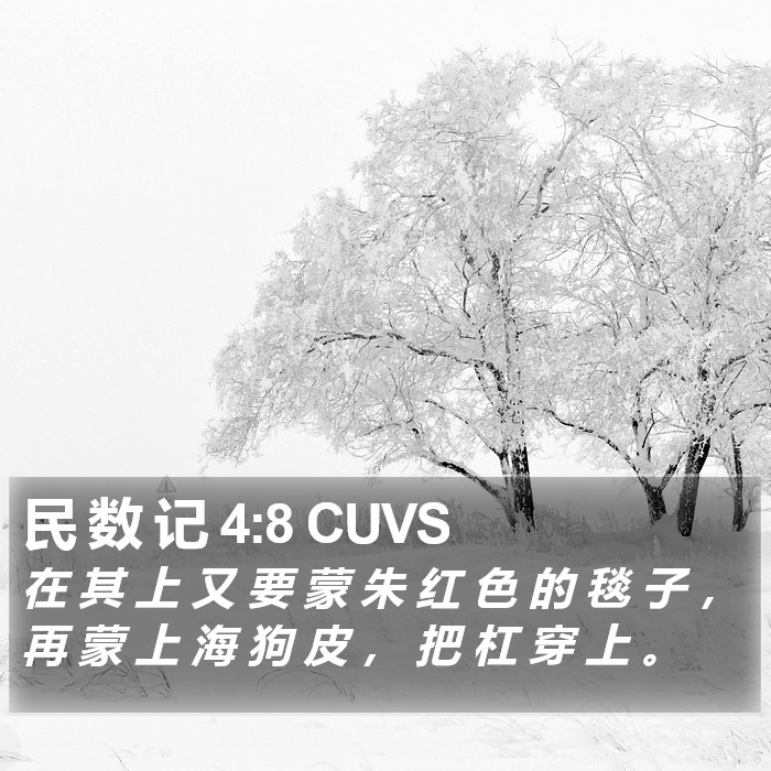 民 数 记 4:8 CUVS Bible Study