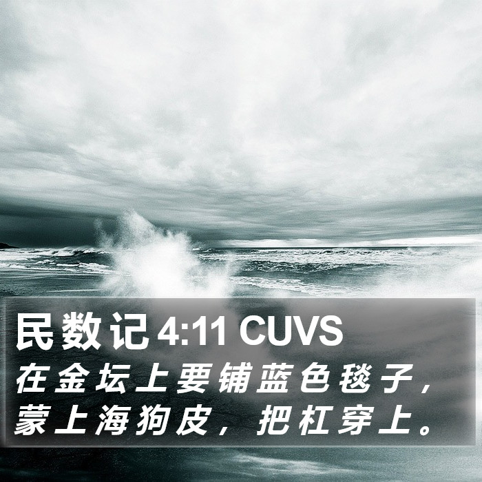 民 数 记 4:11 CUVS Bible Study